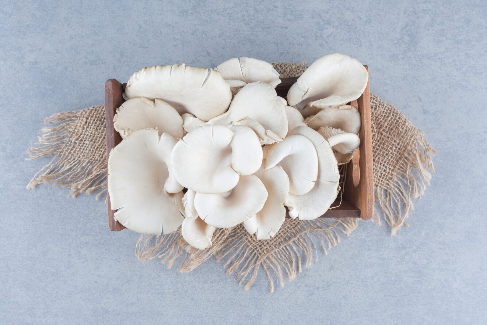 Amazing Health Benefits of Oyster Mushrooms